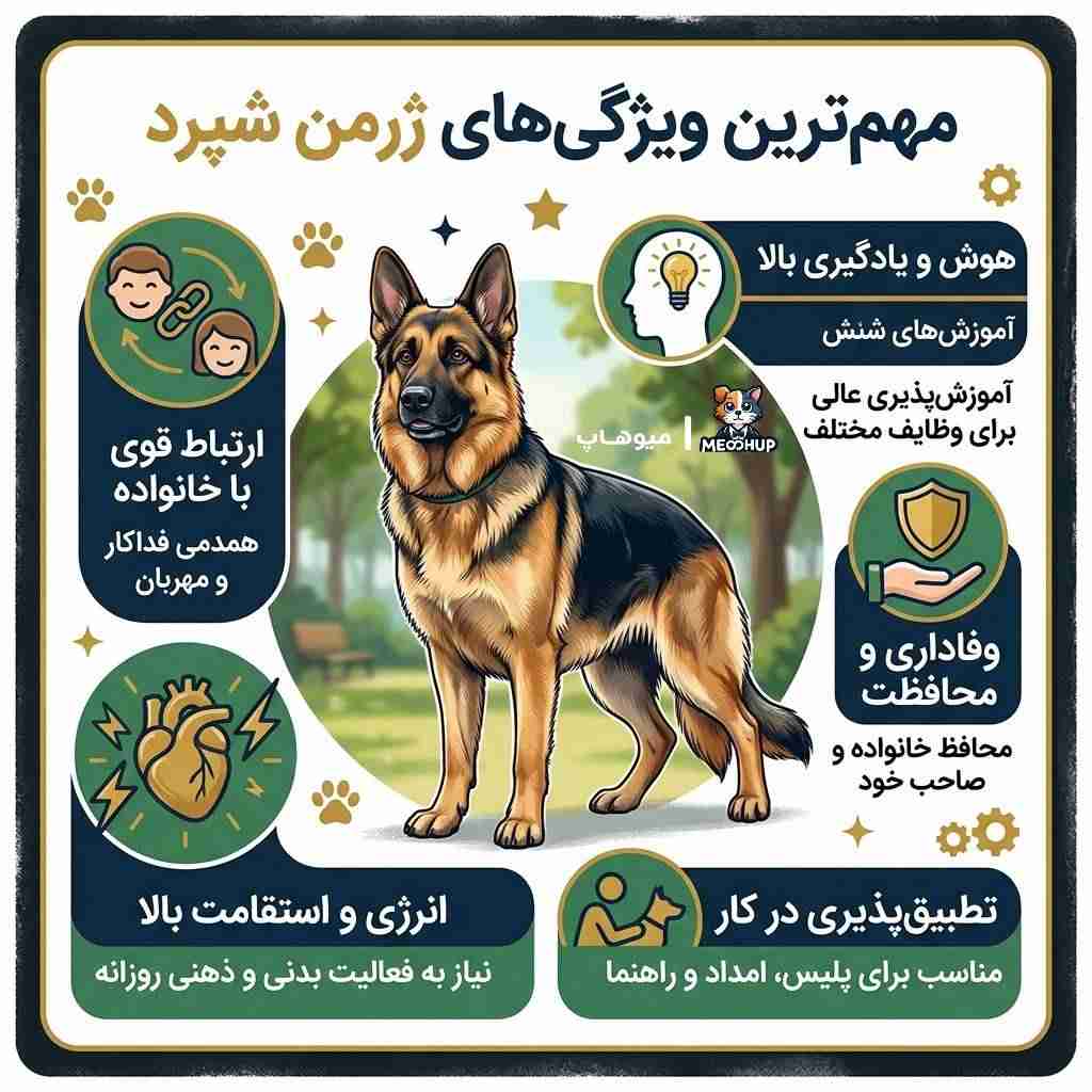 مهمترین مزایای ژرمن شپرد