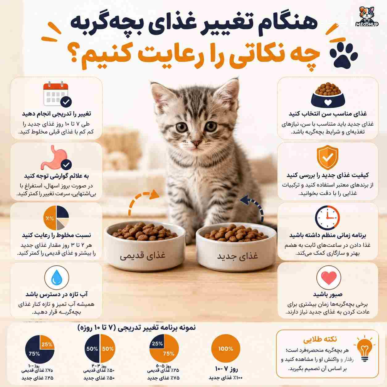  هنگام تغییر غذای بچه‌گربه چه نکاتی را رعایت کنیم؟