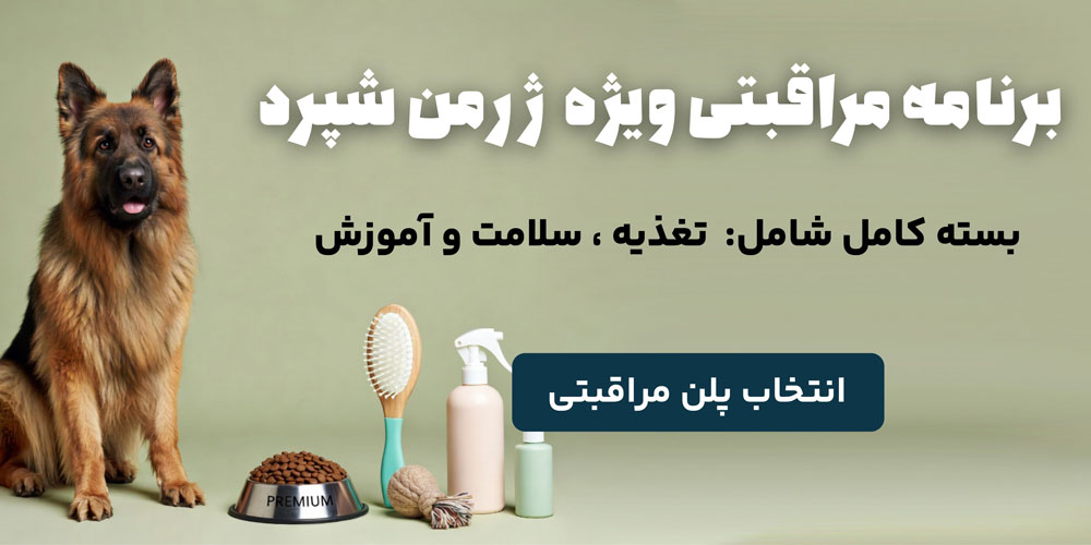 برنامه نگهداری از شگ ژرمن شپرد