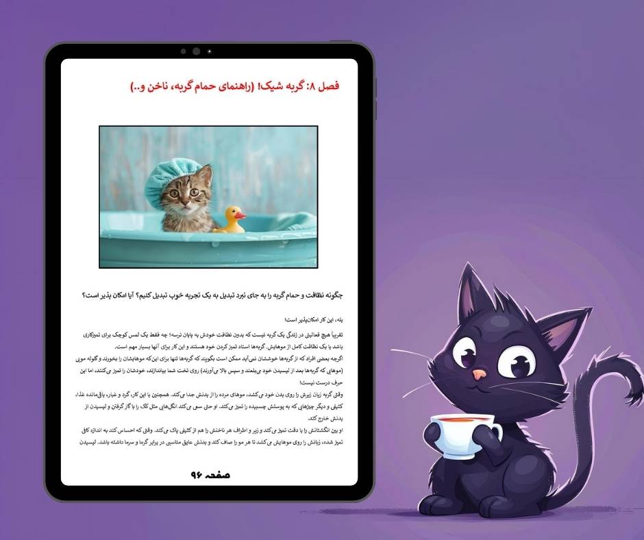 بهترین کتاب گربه