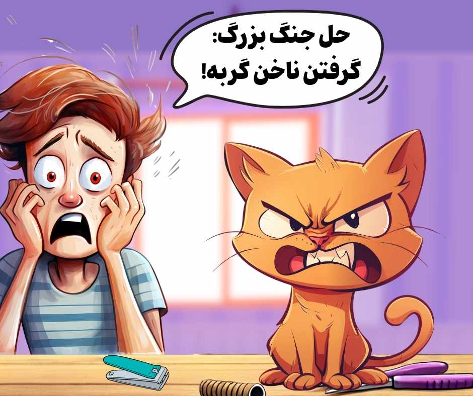 بهترین کتاب نگهداری از گربه