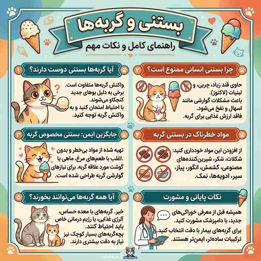 آیا گربهها به بستنی علاقه دارند؟ بررسی رفتار گربهها با بستنی