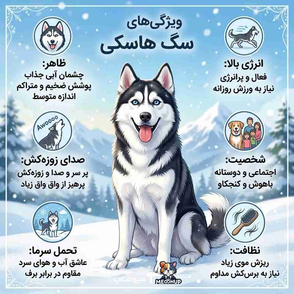 شخصیت و خلق‌وخوی سگ هاسکی