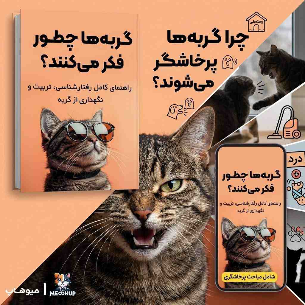 رفتارشناسی گربه‌ها و راهکارهای عملی: