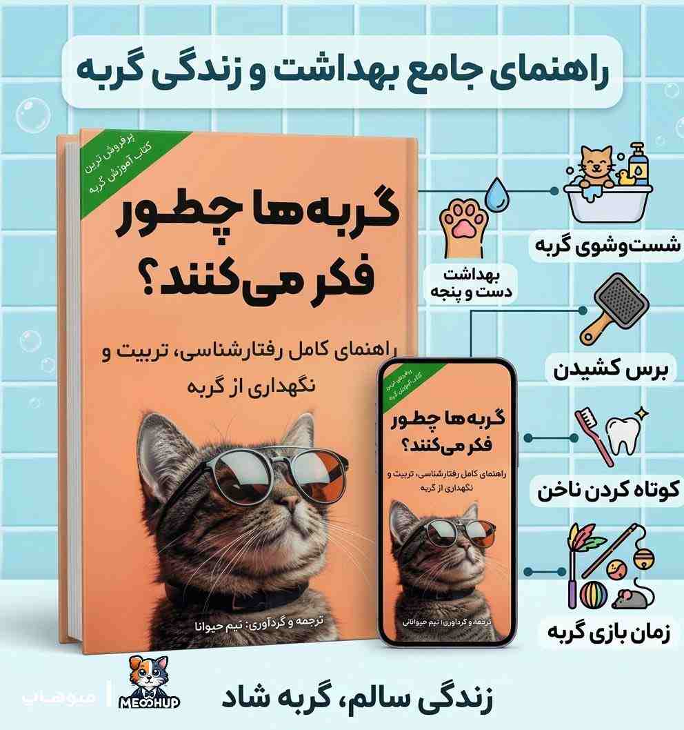 نکات بهداشتی برای گربه خانگی:
