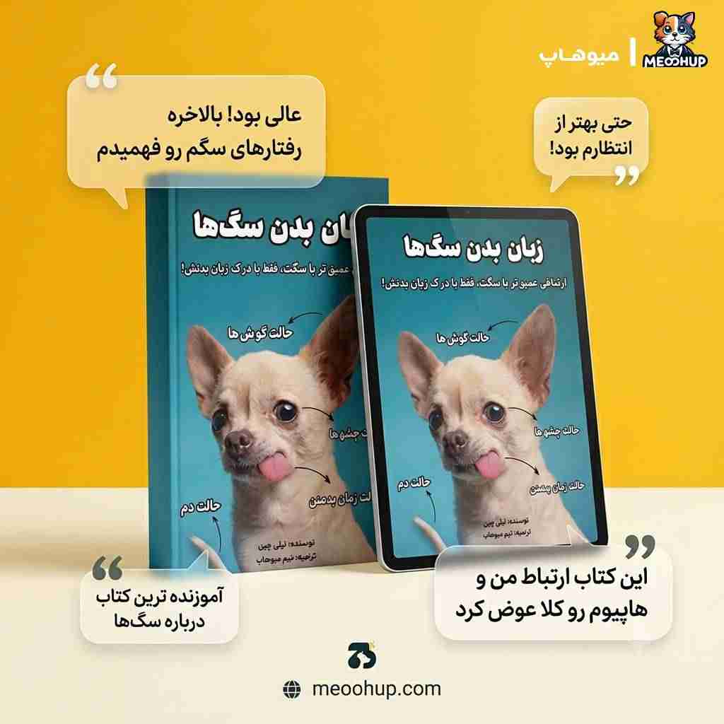 چطور زبان بدن سگمان را بهتر یاد بگیریم؟