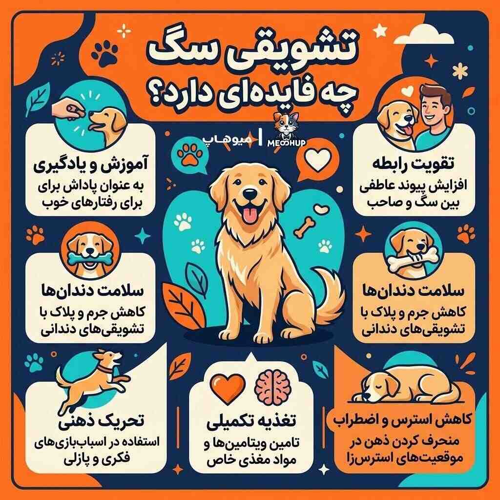 تشویقی سگ چیست و چه فوایدی دارد؟