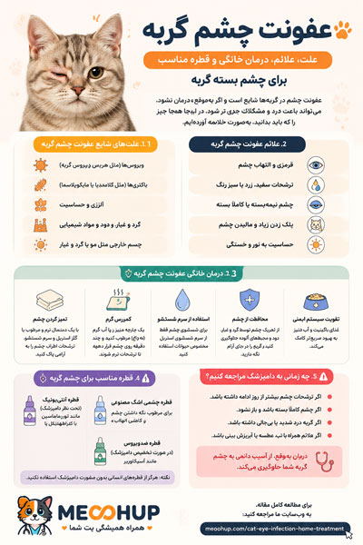 عفونت چشم گربه | علت، علائم و قطره مناسب برای چشم بسته گربه