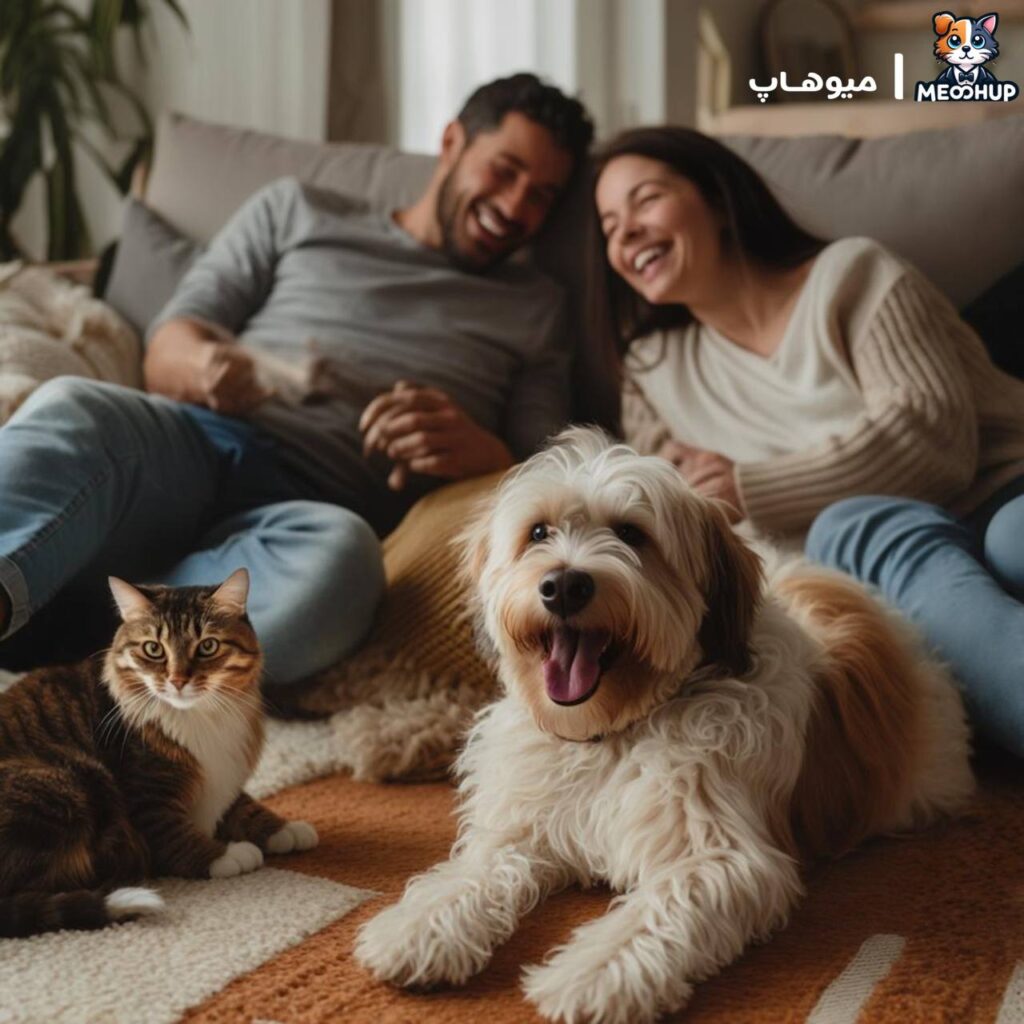 معرفی خدمات مشاوره تغذیه آنلاین میوهاپ