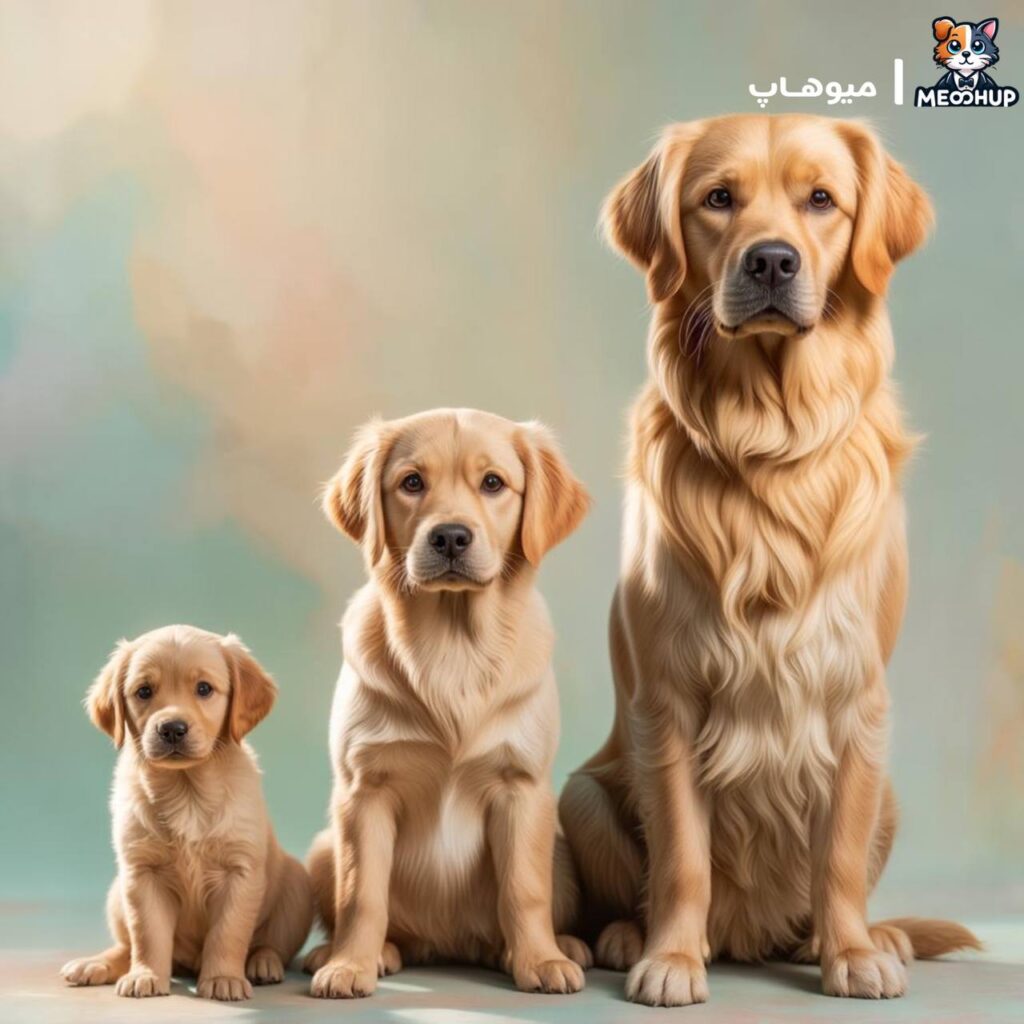 دامپزشک تغذیه آنلاین