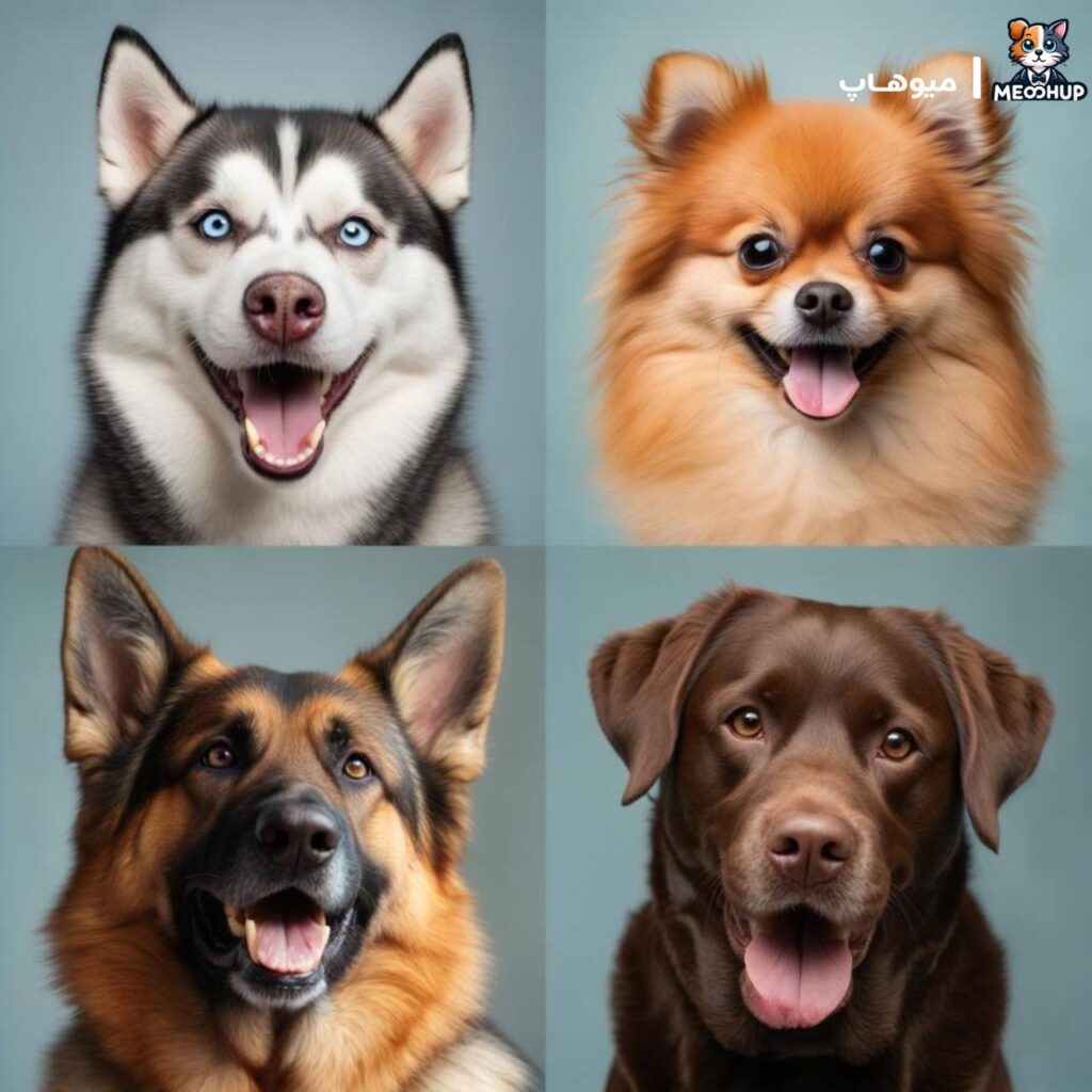 نژادهایی که نیاز به رژیم خاص دارند: