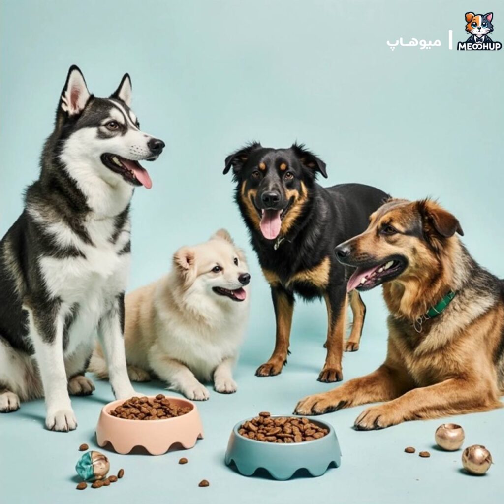  اشتباهات غذایی رایج برای سگ‌ها