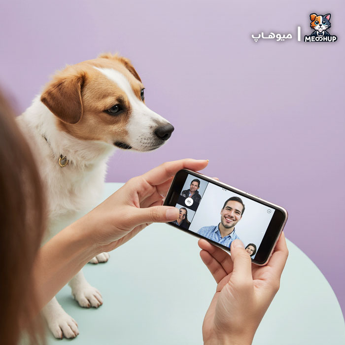 چطور دامپزشک مناسب برای نژاد و سن سگمان پیدا کنیم؟