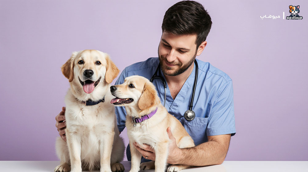 بهترین دامپزشک سگ