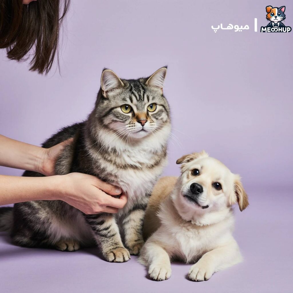 چه مشکلاتی با نوبت آنلاین دامپزشکی قابل بررسی است؟