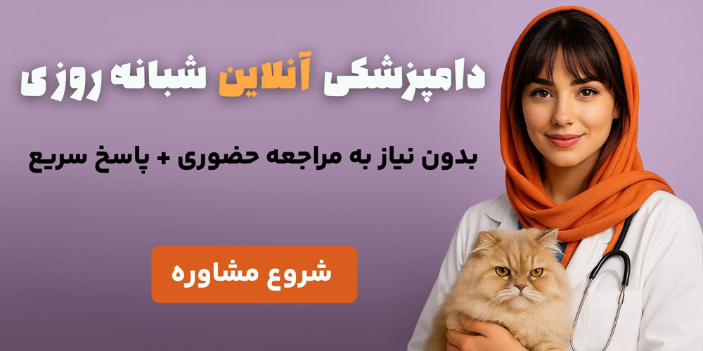 دامپزشک متخصص آنلاین شبانه روزی