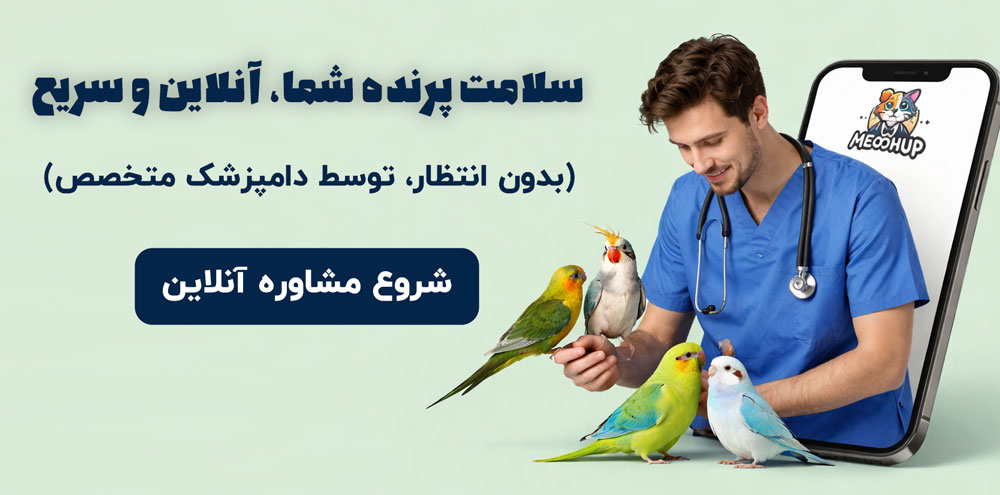 دامپزشکی انلاین پرندگان