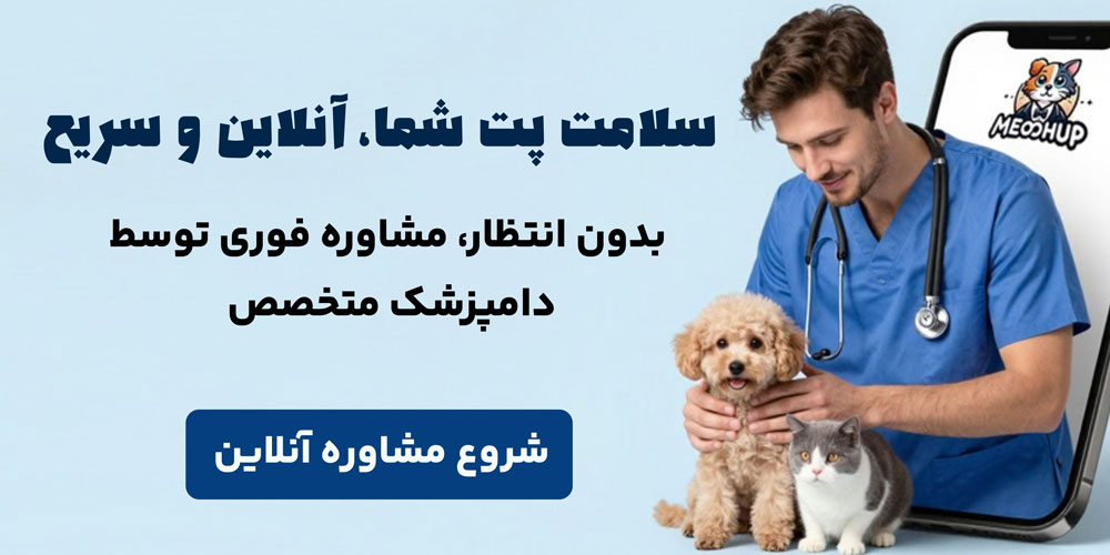 دامپزشکی فوری میوهاپ