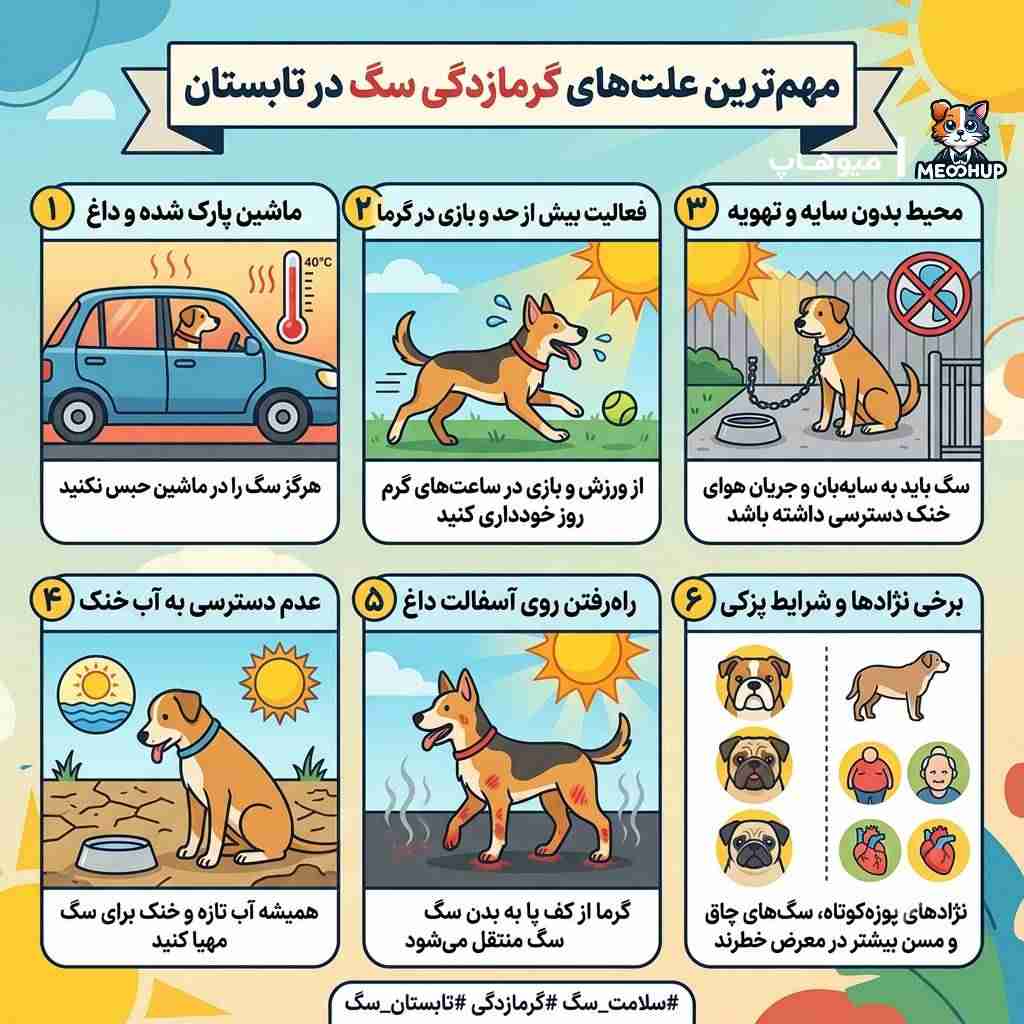 علل اصلی گرمازدگی در سگها