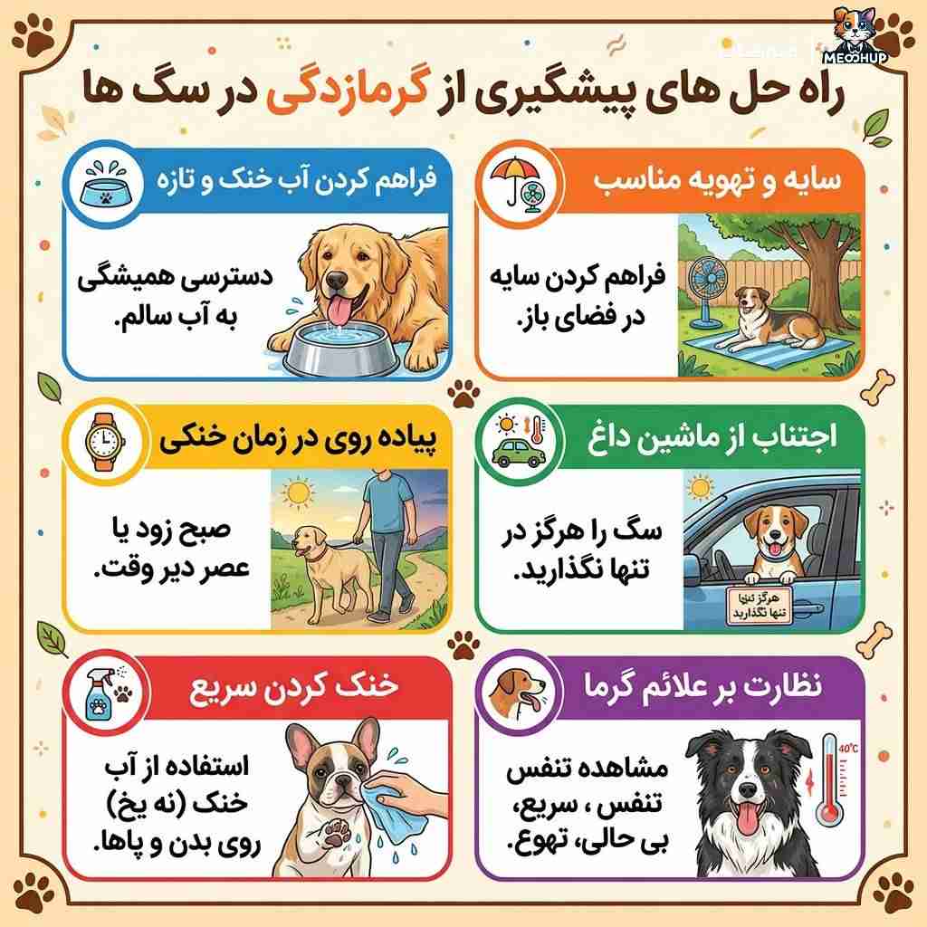 پیشگیری از گرمازدگی در سگ ها