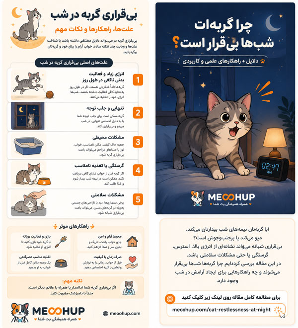 علت بیدار شدن گربه در شب