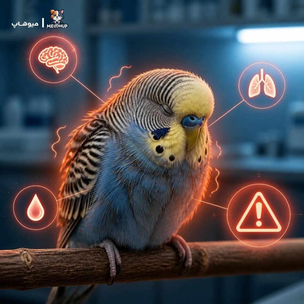 چه زمانی لرزش بدن پرنده خطرناک است؟