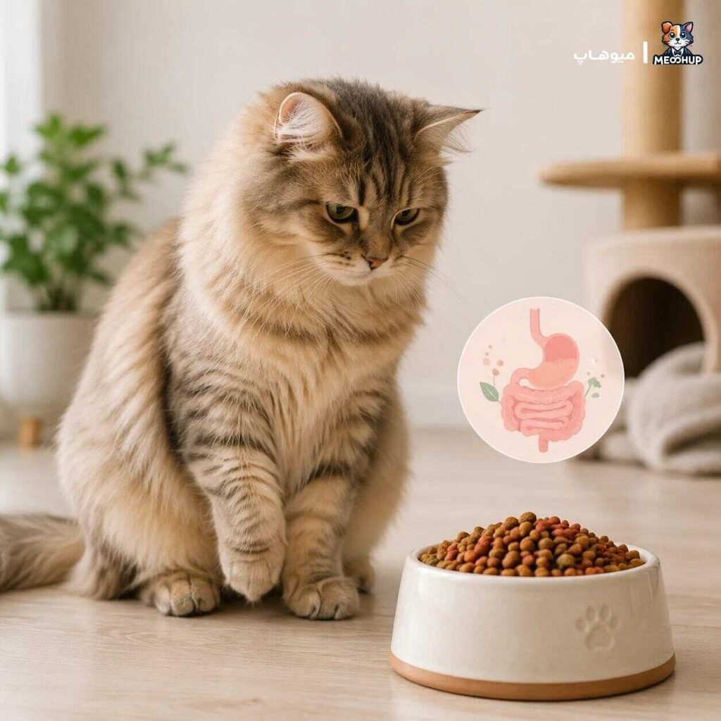 محدودیتها و معایبی که باید بدانید