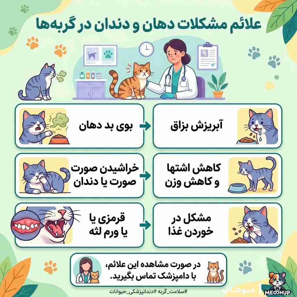 چه علائمی می‌توانند نشان دهند گربه مشکل دهان و دندان دارد؟