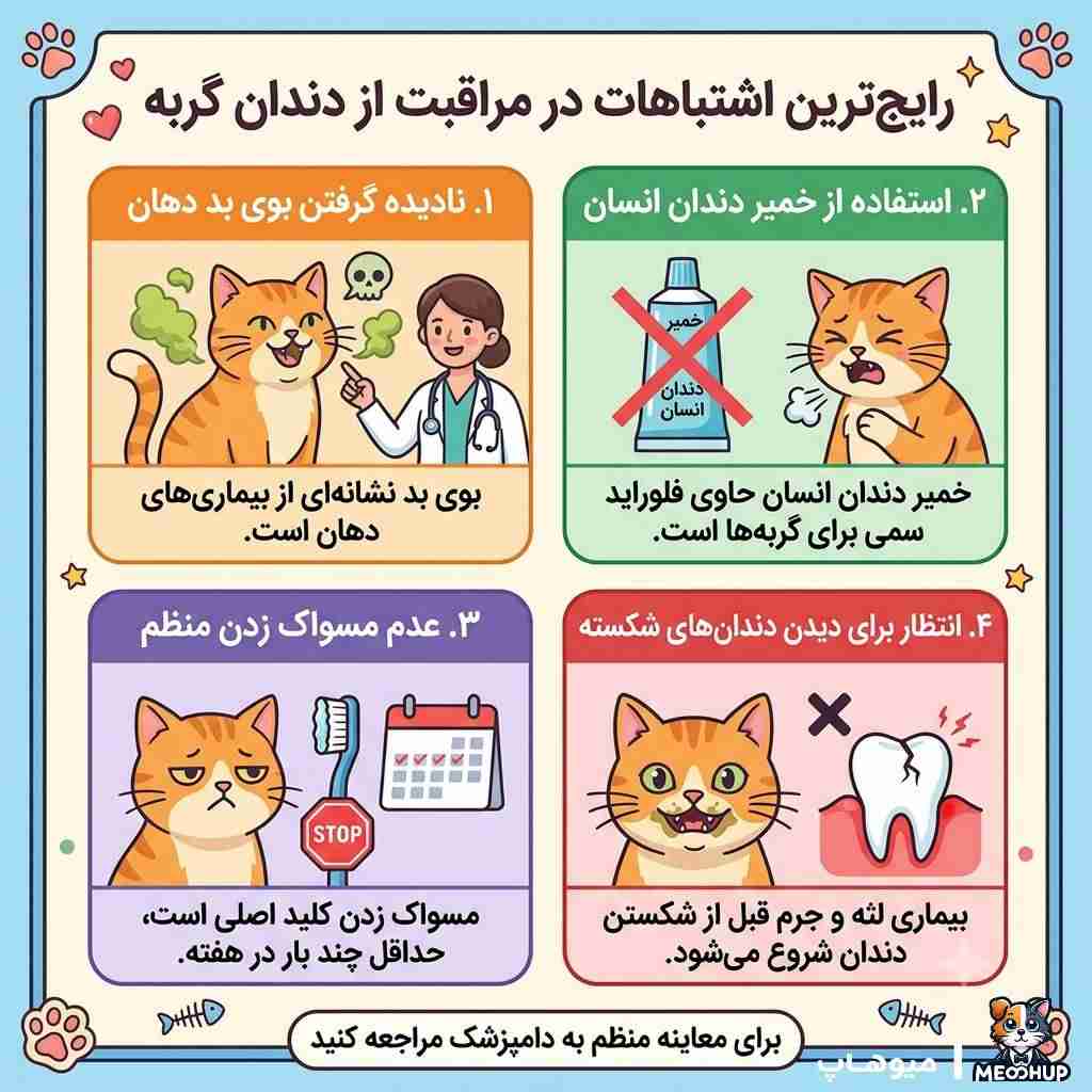  رایج‌ترین اشتباهات در مراقبت از دندان گربه چیست؟