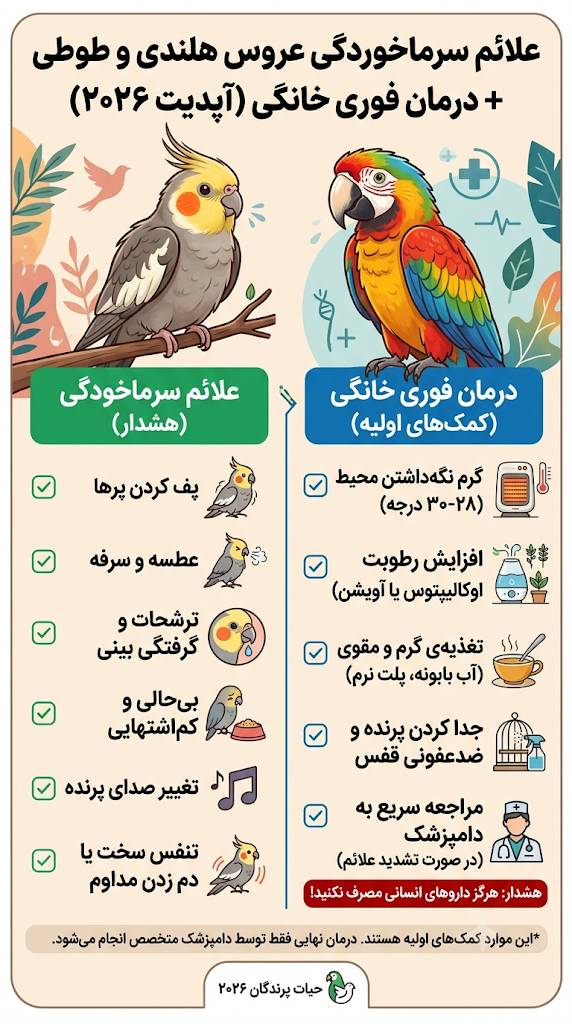 علائم سرماخوردگی عروس هلندی و طوطی