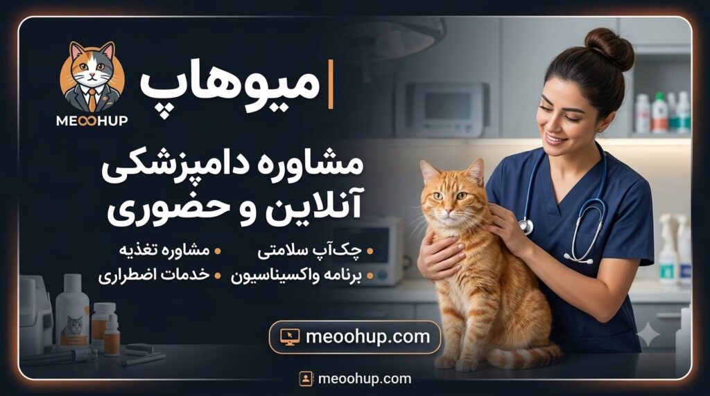 جواب آزمایش دامپزشکی گربه