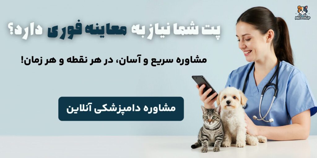 مشاوره سریع وآسان