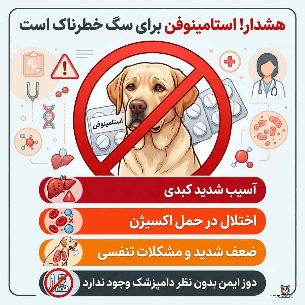 چرا خوددرمانی در سگها خطرناک است؟