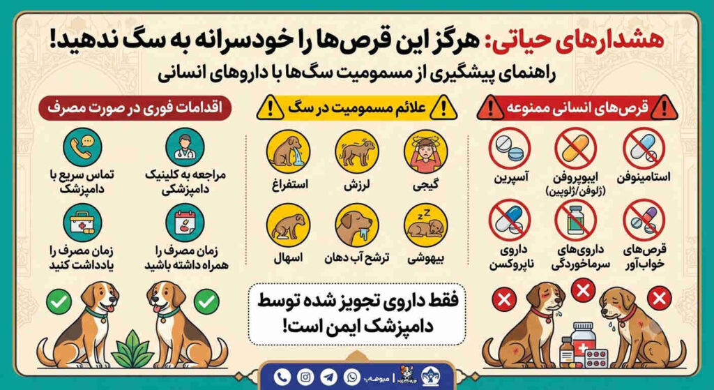 چه قرصی به سگ بدیم