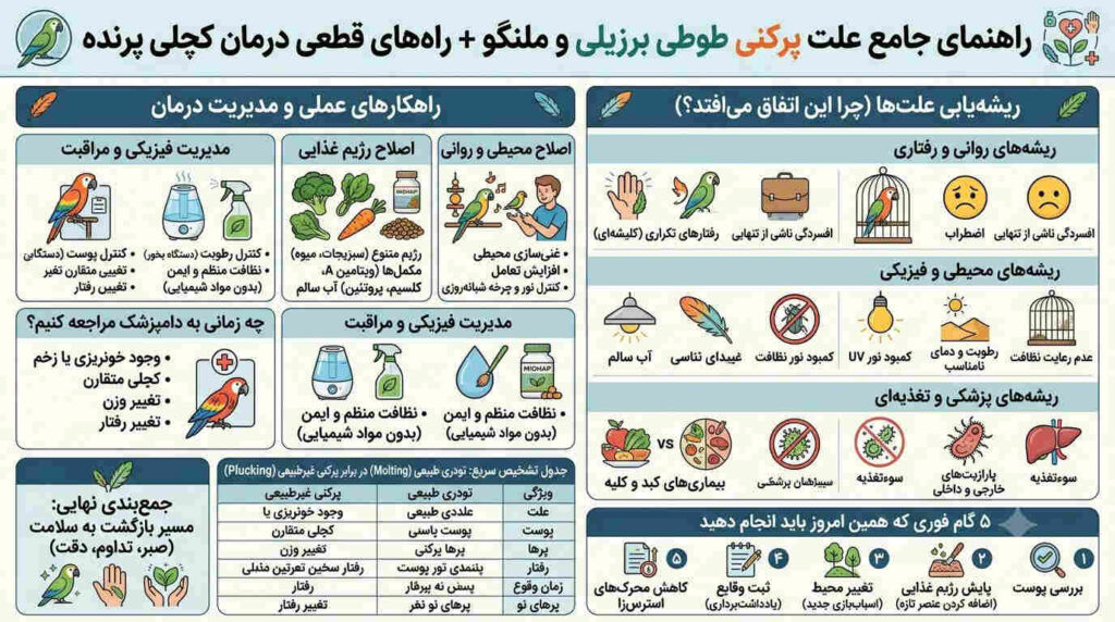 علت پرکنی طوطی برزیلی