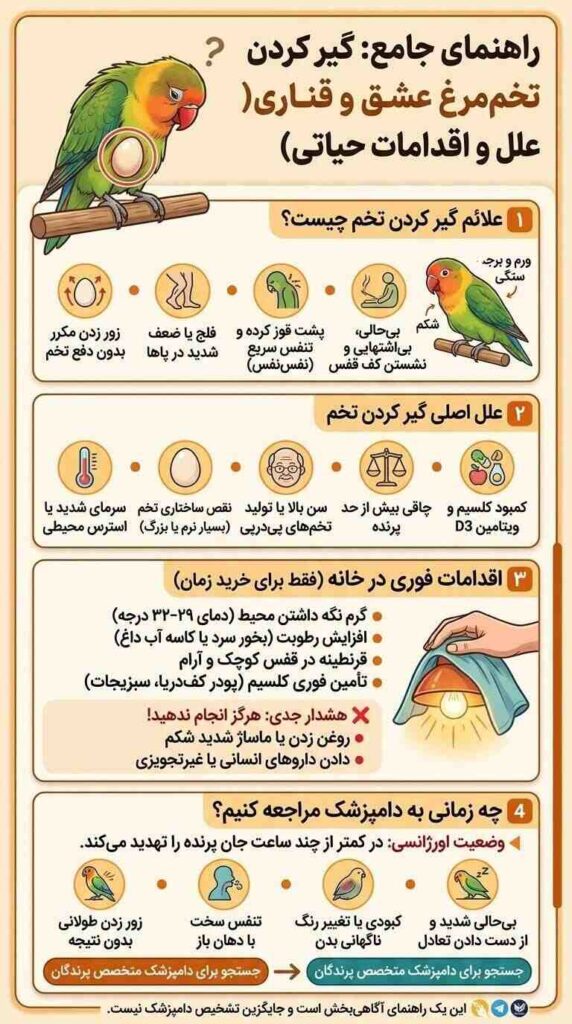 گیر کردن تخم مرغ عشق
