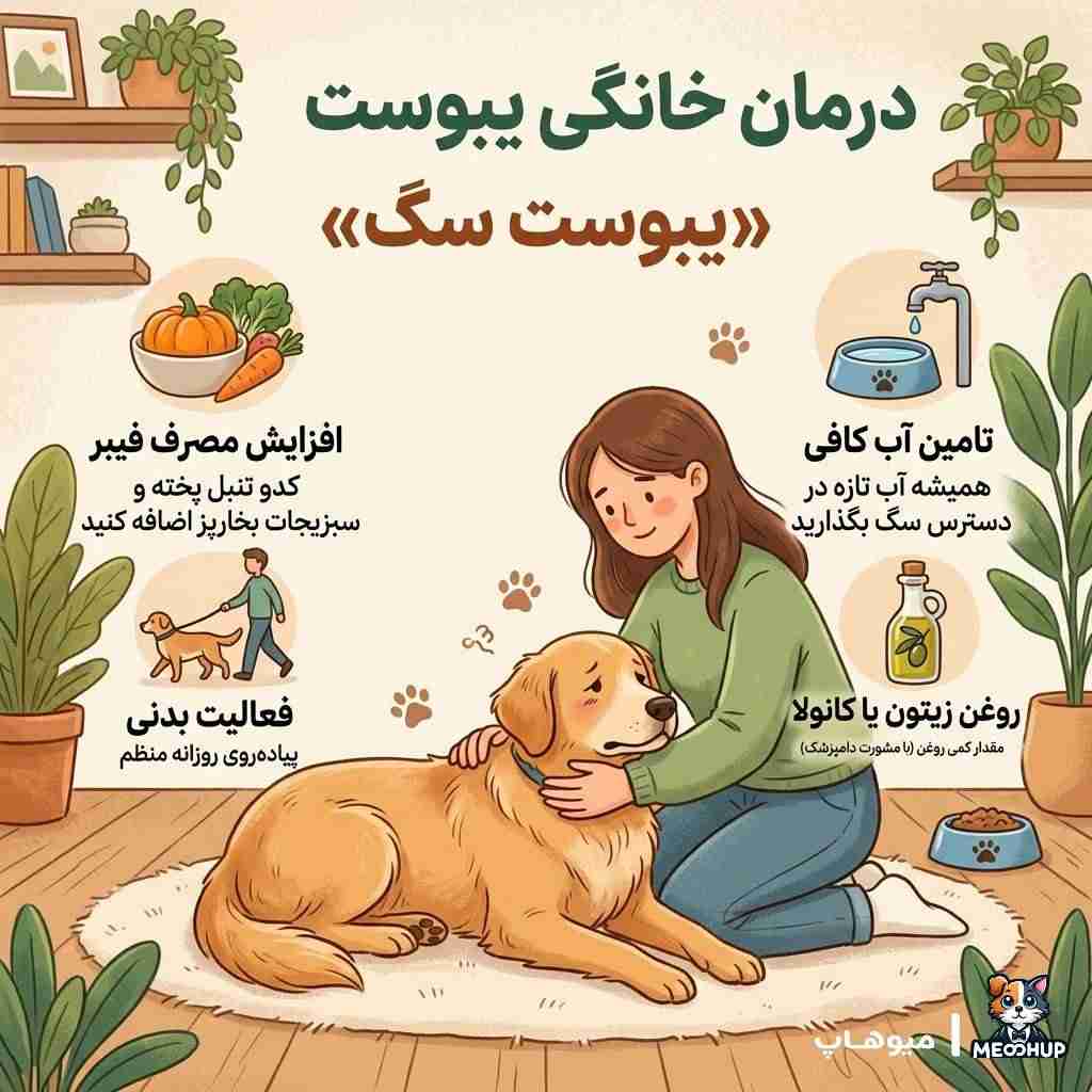 درمان خانگی یبوست سگ چیست؟