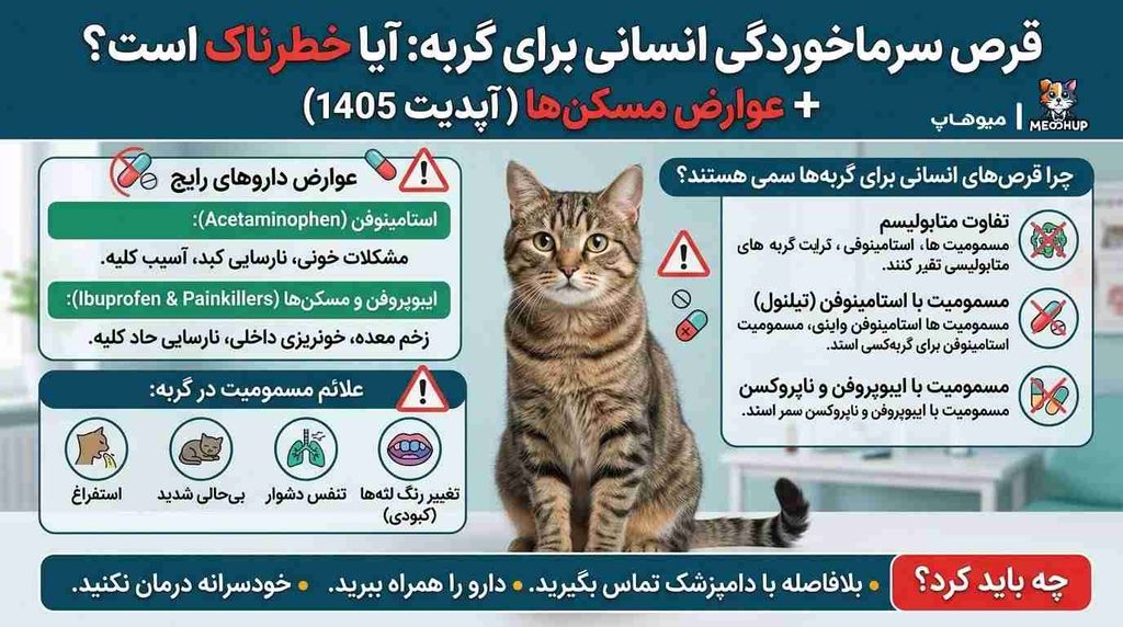 قرص سرما خوردگی انسانی برای گربه