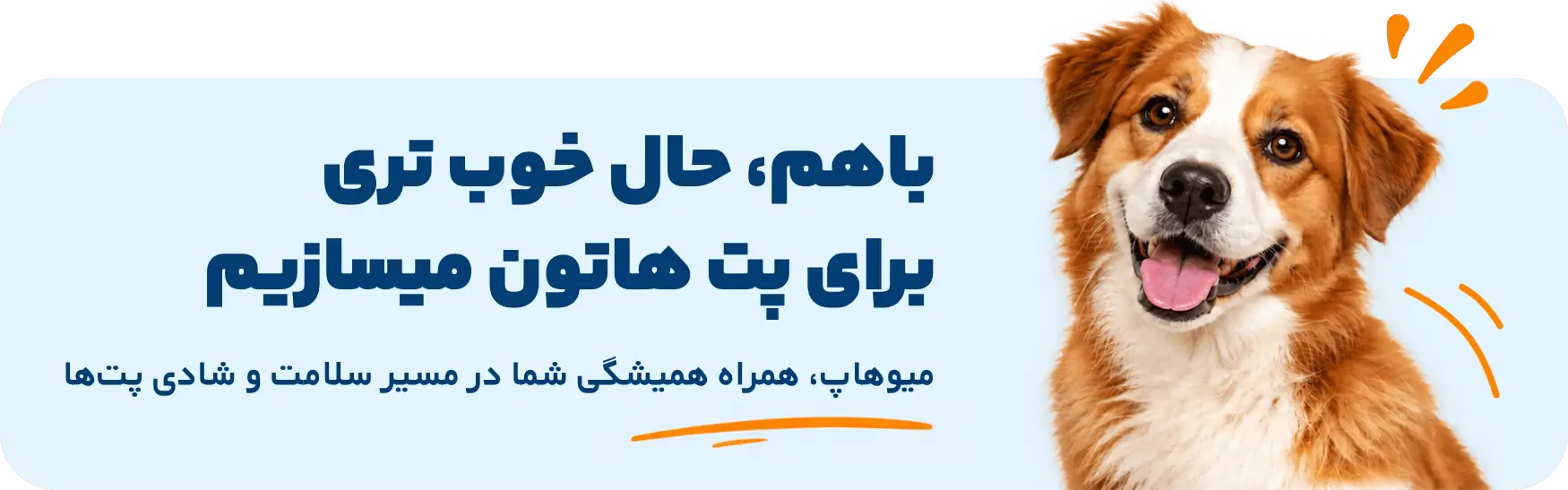درباره میوهاپ